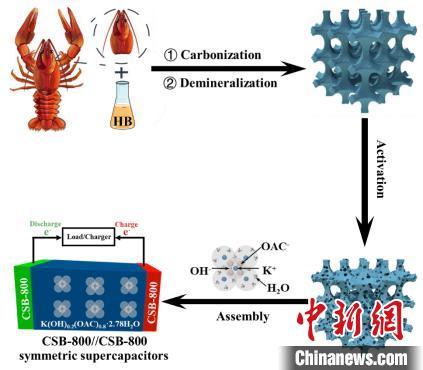 科研新发现 小龙虾壳助力制备高性能电极材料