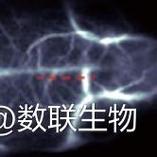 材料科学等多个领域都有着广泛的应用,很多人在选择荧光成像相关产品