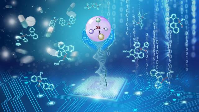南科大何川课题组在手性有机硅化学领域取得多项研究成果
